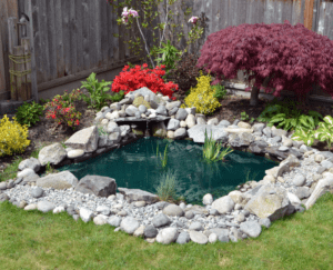 Morrison Backyard Pond - Excavation Service By Morrison