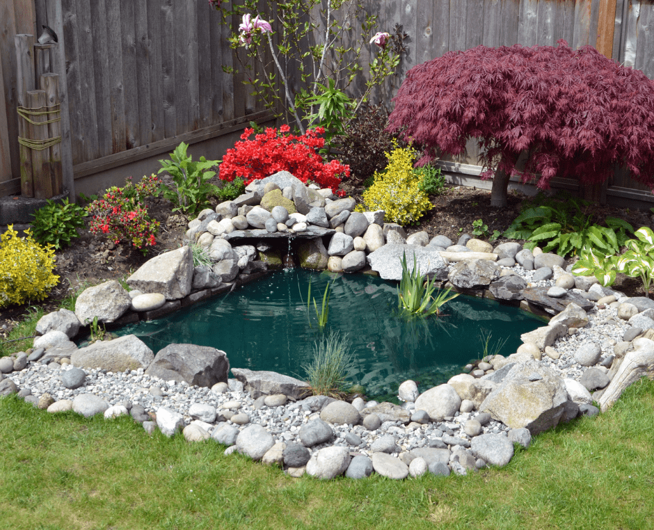 Morrison Backyard Pond